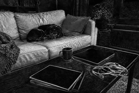 Difference map for Flare: the sofa is bright, and outlines of the mug, laptop, notebooks, cables and dog show too