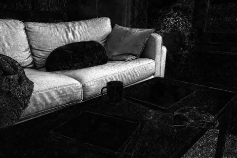 Difference map for Sunburst: only the sofa and the throw draped over its arm are bright; the table, dog and window stay dark